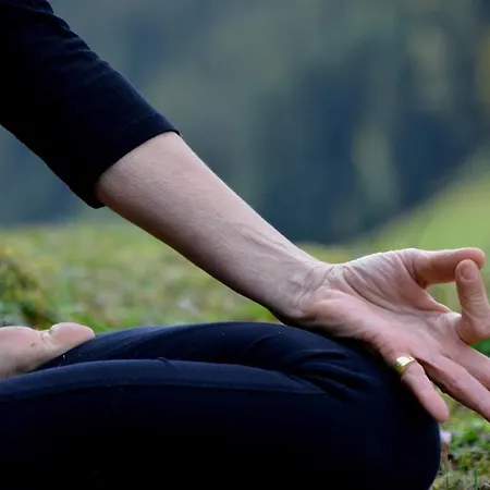 Hotel Traube Tonbach 5*