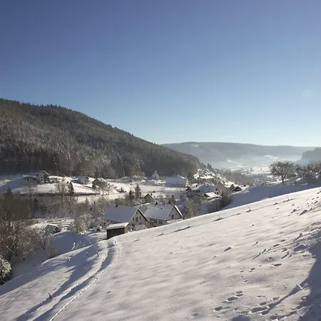 Traube Tonbach Отель Байрсброн