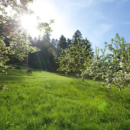 Traube Tonbach Baiersbronn