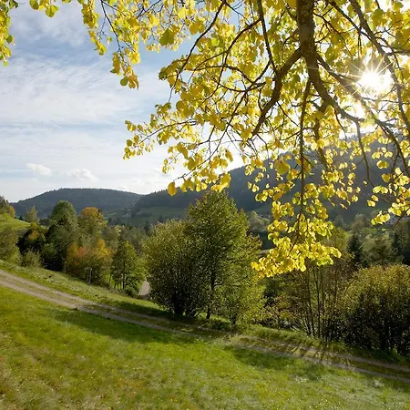 Traube Tonbach Baiersbronn