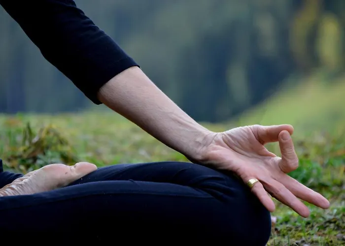 Hotel Traube Tonbach 5*