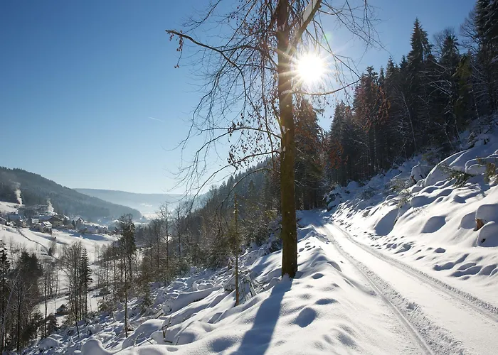 Traube Tonbach Hotel