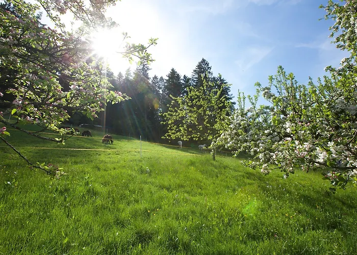 Traube Tonbach Baiersbronn