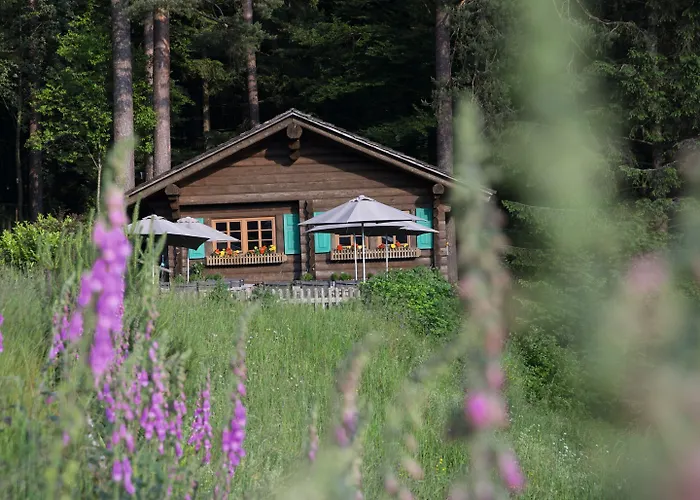 Hotel Traube Tonbach 5*